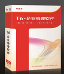 T6-企業(yè)管理軟件